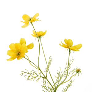 Kunstbloem