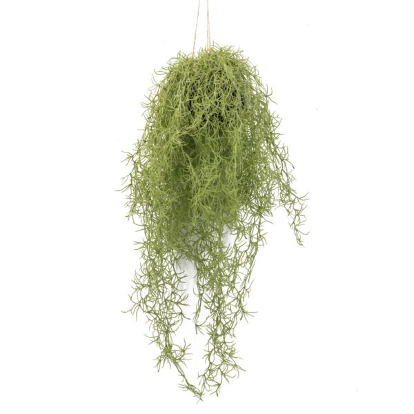 Airplant Hangend 74cm