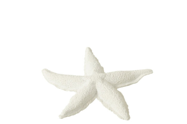 Zeester Polyresine Wit Small