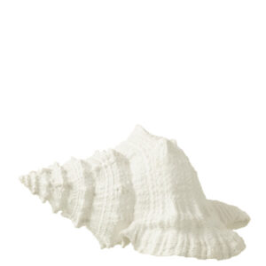 Zeeschelp Polyresine Wit