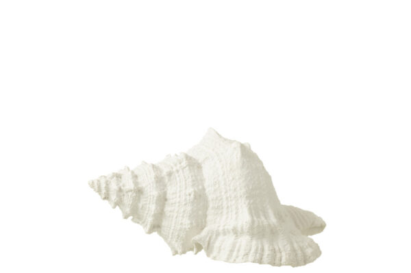 Zeeschelp Polyresine Wit