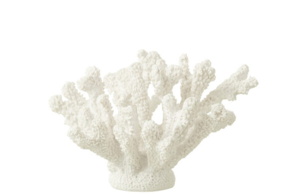 Koraal Polyresine Wit Medium