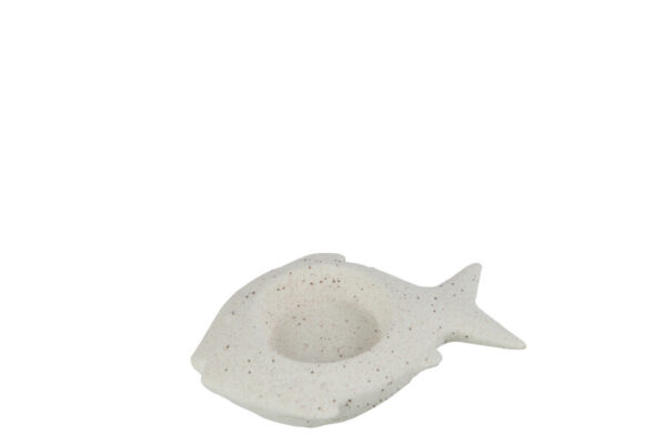 Vis Zand Wit