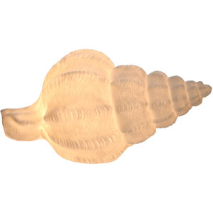 Tafellamp Schelp Zandsteen Ivoor